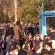 دانشگاه تهران، حکومت زور نمیخواهیم پلیس مزدور نمیخواهیم